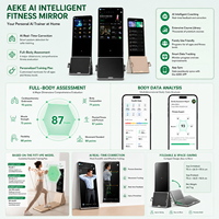 Miroir de fitness intelligent FRS Smart Home Gym Ai, écran tactile 43 pouces 4K, alliage d'aluminium, moteur 750W, résistance numérique, entraînement musculaire