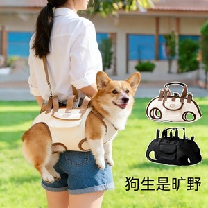 Portable <b>Pet</b> <b>Carrier</b> Bag For Small Dogs And Cats Cartoon Design Polyester Material Four Seasons Use - Product Image 2