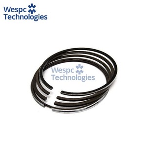 Segment de piston WESPC 4181A106 pour moteur diesel Perkins 1004 1006, tracteur, générateur, engins de construction, pièce de rechange - Product Image 1