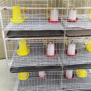 Punto automatizzato di H tipo piccola gabbia di pollo galvanizzata importato per 35000 uccelli pollo per la fattoria - Product Image 4