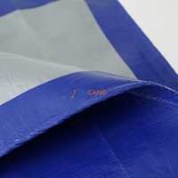 Bâche de toiture légère en polyéthylène imperméable, bâche PE bleue