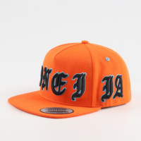 Groothandel Hoge Kwaliteit Volledig Aangepaste 5 Panel Flat Brim Baseball Pet Snapback Sportpet Aangepaste 3D Borduur Logo Unisex