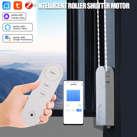 SIXWGH - Controlador de Persianas Motorizadas Inteligentes para el Hogar Moderno, Tuya Wifi-RF, Abridor Automático Eléctrico USB, Cortinas Enrollables de Plástico