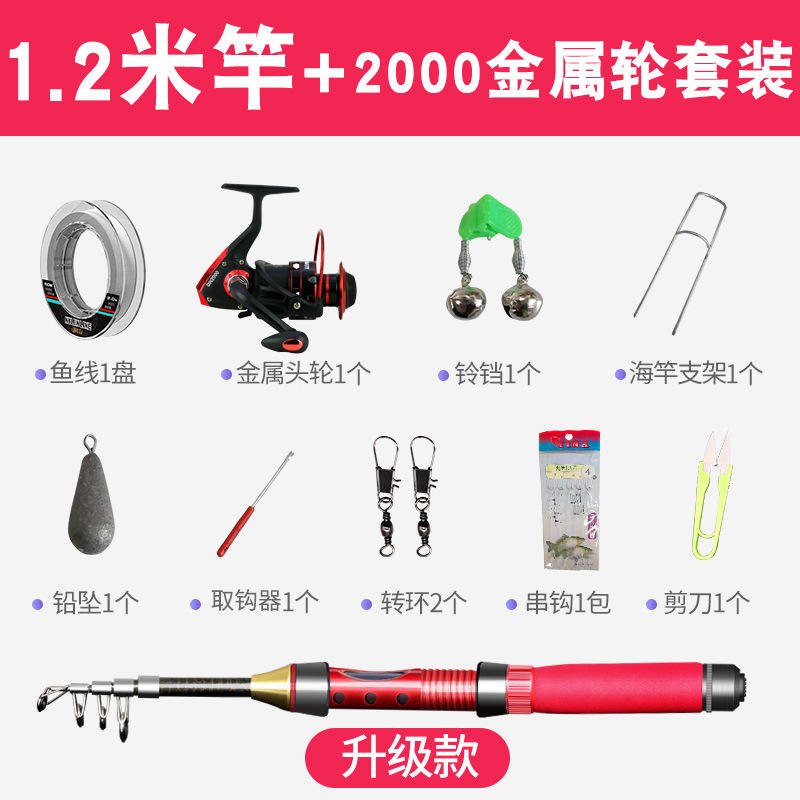 Canne de 1,2 m avec moulinet en métal de 2 000 mm, ensemble complet [Passion Red]