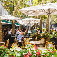 Mobilier de jardin Patio d'extérieur Chaises de restaurant en rotin Mobilier de café