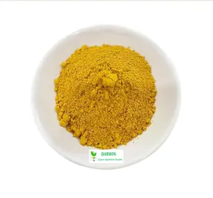 Wholesale Bulk Dietary Supplements 59-30-3 VB9 Food Grade 99% Folate Folic Acid Vitamin B9 Powder