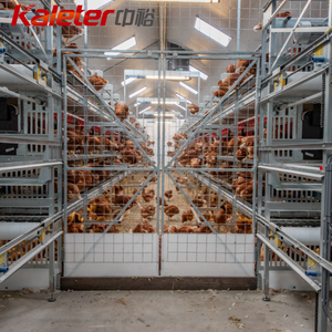 Kaleter Bienestar Animal, Gallinero Libre de Jaulas, Granja Avícola de Gallinas Ponedoras, Nido con Recolección Automática de Huevos - Product Image 1