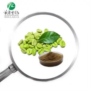 Top chất lượng màu xanh lá cây chiết xuất hạt cà phê 50% Chlorogenic axit màu xanh lá cây chiết xuất hạt cà phê bột