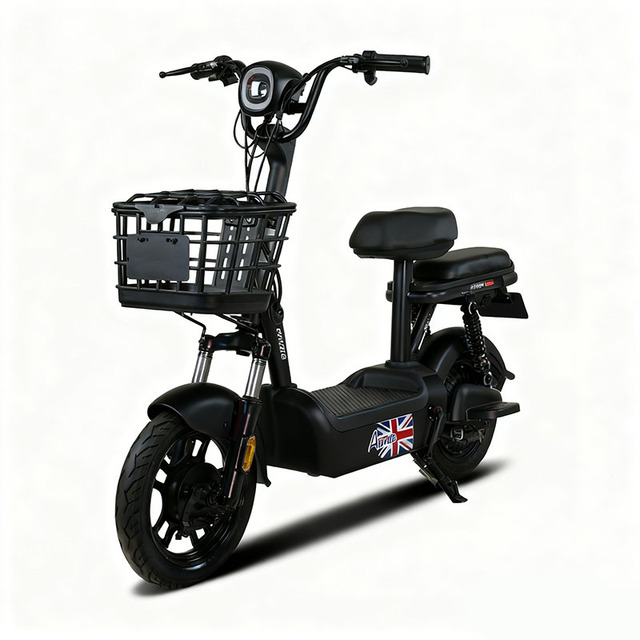 Low Price Ebike Electric Bike 48v/60v 300W/500W Electric Bicycle Cheap Electric Bike for Sale