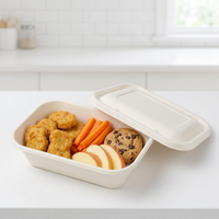 1000ml Kwalitatief hoogwaardige, milieuvriendelijke, aanpasbare, wegwerpbaar vierkante borden van suikerrietbagasse, afhaalverpakking