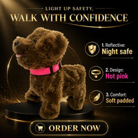 Collier Réfléchissant en Nylon pour Animaux de Compagnie, Réglable et Détachable, pour Chien et Chat, avec Rembourrage en Néoprène et Clochette Incluse, Rose Vif