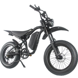 20 pouces Enduro spécialisé rapide 750w gros pneu Ebike suspension complète électrique grande <span class=keywords><strong>roue</strong></span> montagne Dirt Bike Chopper <span class=keywords><strong>vtt</strong></span> vélo - Product Image 1