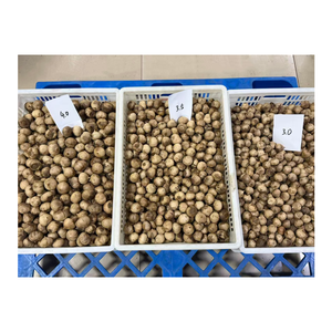 <span class=keywords><strong>Ail</strong></span> <span class=keywords><strong>noir</strong></span> séché Solo <span class=keywords><strong>de</strong></span> nouvelle saison à bon prix, fermenté naturellement, doux, aux <span class=keywords><strong>bienfaits</strong></span> santé, disponible en 250g et 500g - Product Image 6
