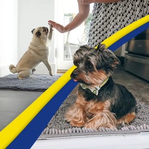 Tapis rafraîchissant pour chien, couverture d'été respirante et lavable pour chiens et chats, idéal pour canapé et voiture, pour petits, moyens et grands chiens - Product Image 5