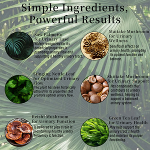 Cápsulas de Apoyo a la Próstata de Marca Privada con Vitamina E Antioxidante, Fórmula para el Apoyo a la Salud de la Próstata, Favorece la Salud de la Próstata - Product Image 4