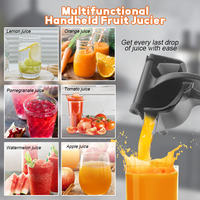 Daosheng China Lage Prijs Huishoudelijke Aluminium Handleiding Gemakkelijk Schoon Te Maken Citroen Juicer Fruit Squeezer Groentesapcentrifuge
