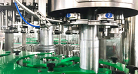 Ligne de production automatique de mise en bouteille de bière en verre, système clé en main de rinçage, remplissage, bouchage et étiquetage pour brasserie