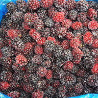 Nieuw Gewas Bulkpakket Zwarte Bessen Iqf Bevroren Bramenvruchten Iqf Bramen