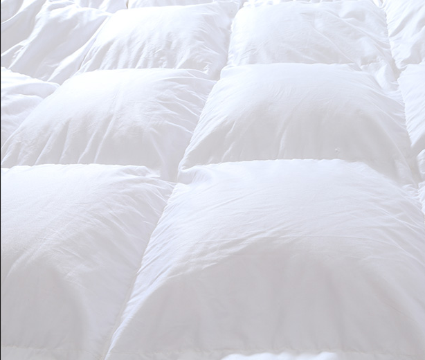 100% White Duck Down Duvet Insert Blanket Filling Feather Down Quilt Filler King Queen Twin Size for Autumn & Winter