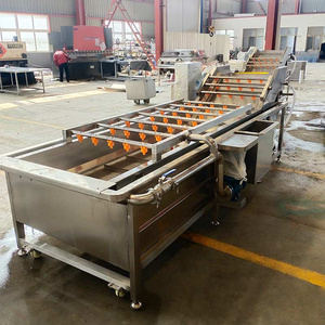 Máquina Profesional de Acero Inoxidable para Lavar y Pelar Uvas con Certificado CE, Capacidad de 200-1000 Kg/h, Potencia de 1.1KW - Product Image 6