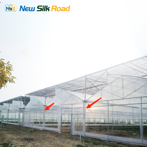 طماطم استوائية متعددة الدفيئة الزراعية الكبيرة لزراعة الخضروات ميزة المنشار المائية Span - Product Image 5