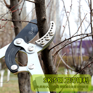 กรรไกรตัดกิ่งแบบหนัก Shuangsong ขนาด 100 มม. ใบมีดเหล็กอัลลอยด์แบบบายพาส สีน้ำเงิน เครื่องมือทำสวนสำหรับกิ่งไม้หนา - Product Image 2