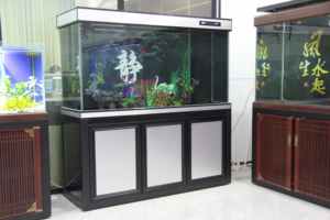 25W Led-Verlichtingssysteem Modern Rechthoekig Ontwerp Glazen Rifaquarium Grote Capaciteit Voor Exotische Vissen En Kleurrijke Koralen Display - Product Image 3