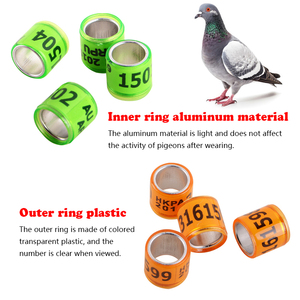 Qa Pluimveehouderij Uitrusting 8Mm Aluminium Vogels Ringduivenpoot Ring Voor Kippenboerderijkuikens Papegaai Kwartelvogels - Product Image 2