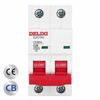 DELIXI CDB9 Mini Circuit Breaker 1P 2P 3P 4P B C D Type 63A 6kA 10kA MCB CE Certified Factory Ready Stock