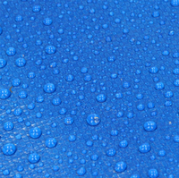 Bâche extérieure personnalisée en HDPE bleue, anti-moisissure, protection UV, imperméable, pour couvrir les piscines jusqu'à 12 pieds (4x4m)