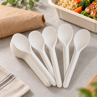 Cuillère jetable en bagasse moulée de 170 mm pour soupes, desserts et kits repas traiteur