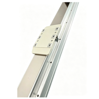 Module linéaire intégré GTH8, 50 kg horizontal, 15 kg vertical, course de 1100 mm, précision de ±0,01 mm, glissière linéaire pour l'automatisation industrielle