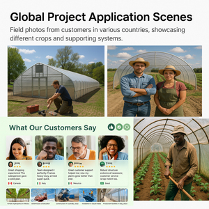 Serre agricole bon marché Serre commerciale Serre intelligente à travée unique pour la plantation de tomates peut être utilisée 10 + ans - Product Image 4