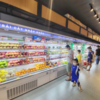 Vitrine réfrigérée commerciale sans givre pour produits laitiers et boissons, idéale pour supermarchés et épiceries