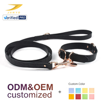 Ensemble collier et laisse pour chien en cuir PU gaufré crocodile, avec accessoires en or rose, étiquette d'identification vierge personnalisable, accessoires de promenade pour animaux de compagnie