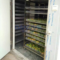 Geavanceerde Mango Warmtepomp Droogoven Fruitdroogmachine Mango Dehydrator Apparatuur