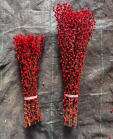 Hochwertige 2026 Natürliche Trockenblumen Silberweide Frühlingsfest Konservierte Blumenpflanzen Heim Neujahrs-Deko Salix Argyracea