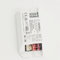 Convertisseur d'urgence LED au design élégant 220-240Vac 2W 20-200Vdc 10-100mA CB CE SAA Classe II pour hôtel, hôpital, bureau