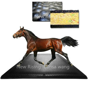 Nuovo Materasso Morbido <span class=keywords><strong>per</strong></span> <span class=keywords><strong>Box</strong></span> <span class=keywords><strong>Cavalli</strong></span> e Stalle in Gomma e Schiuma - Product Image 1