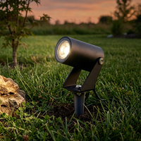 Projecteur LED d'extérieur en aluminium à succès avec alimentation DC/AC, protection IP66, intensité variable et installation facile