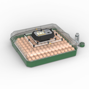 Incubadora de Huevos Automática de Doble Potencia 220V/110V/12V, Capacidad para <span class=keywords><strong>116</strong></span> Huevos, Máquina para Incubar Pollos - Product Image 2