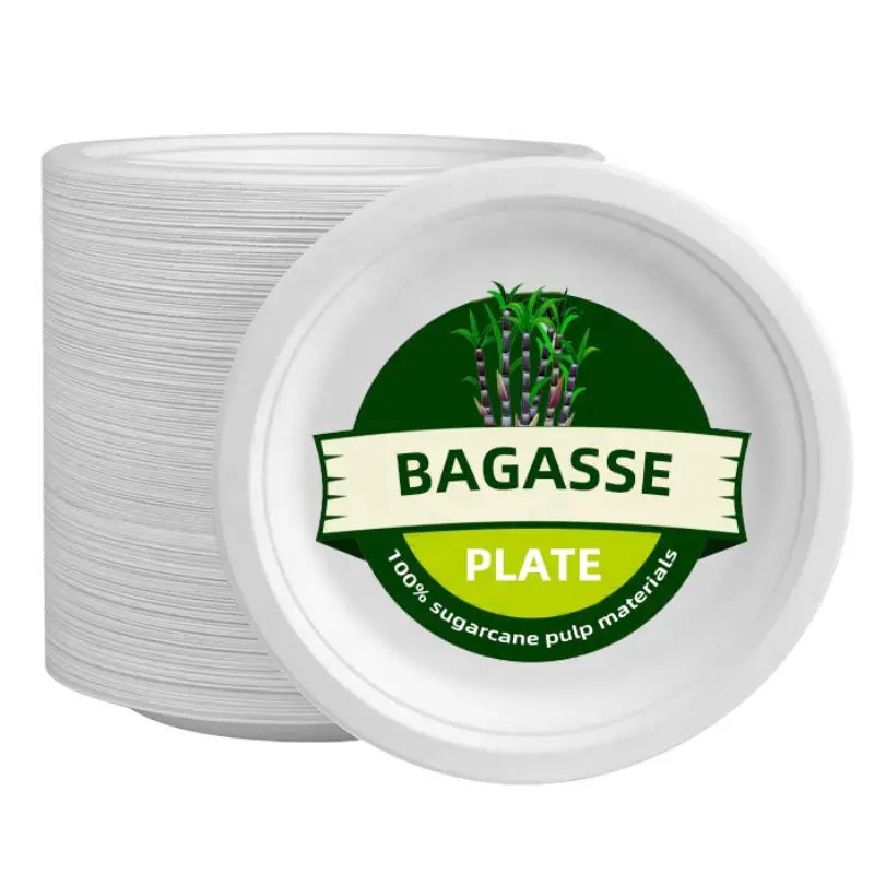 100% Composteerbaar Biologisch Afbreekbaar Milieuvriendelijk Suikerriet Bagasse Producten Witte Wegwerp Togo Platen