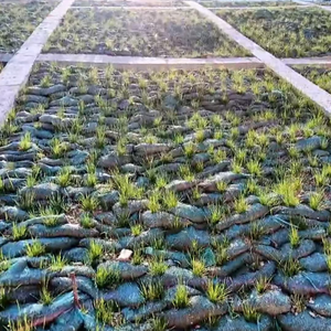 मिट्टी के कटाव की ढलान वनस्पति पुनर्स्थापना भू-बैग को बनाए रखने से रोकना शून्य प्रदूषण इको बैग दीवार को बनाए रखना - Product Image 4