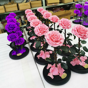 Fornitura di Fabbrica: Rose Eterne Vere, Rose Stabilizzate in Scatola Regalo di Vetro, Medaglia di San Valentino, Arte Popolare dell'Angelo, OEM ODM, Vetro di <span class=keywords><strong>Murano</strong></span> - Product Image 4