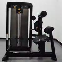 Machine de musculation pour l'extension dorsale, équipement de salle de sport commercial pour l'entraînement des muscles du dos
