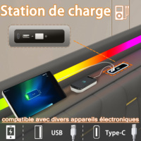 Cadre de lit en velours avec deux enceintes Bluetooth, 4 paniers de rangement dorés, chargement USB Type C, lumières synchronisées à la musique, beige, gris, noir