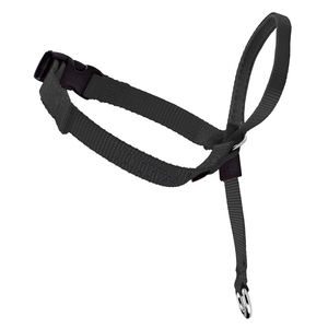 Muestra gratis <span class=keywords><strong>Collar</strong></span> de perro sin tirar para caminar <span class=keywords><strong>collar</strong></span> de perro hecho a mano cabeza líder cabeza <span class=keywords><strong>Collar</strong></span> suave líder - Product Image 3