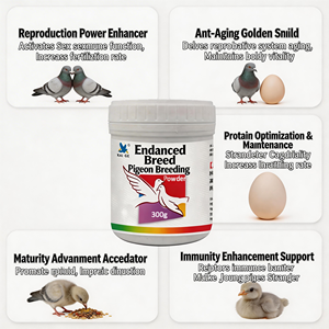 Poudre nutritive pour l'élevage de pigeons de race, la plus vendue, 300g, améliore la fertilité et retarde le vieillissement reproductif - Product Image 2