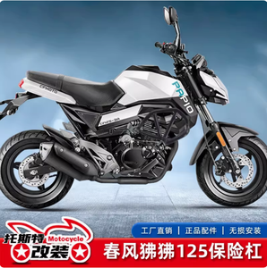 Barra Protectora Anticaídas CF125-3 para ST <span class=keywords><strong>Papio</strong></span>, Accesorio de Modificación para Protección del Motor - Product Image 2