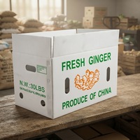 Boîte de transport en plastique Coroplast légère pour fruits, réutilisable, haute résistance, pour emballage de légumes
